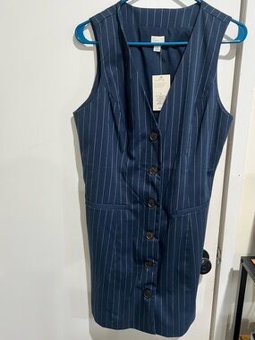 Target Navy Pinstripe Sleeveless Button-Front Mini Dress